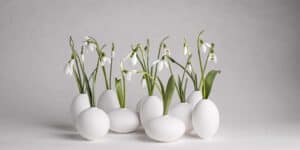 Klatt Objects chisana Vase mit Schneeglöckchen online kaufen bei Gartenglück und Blütenkunst